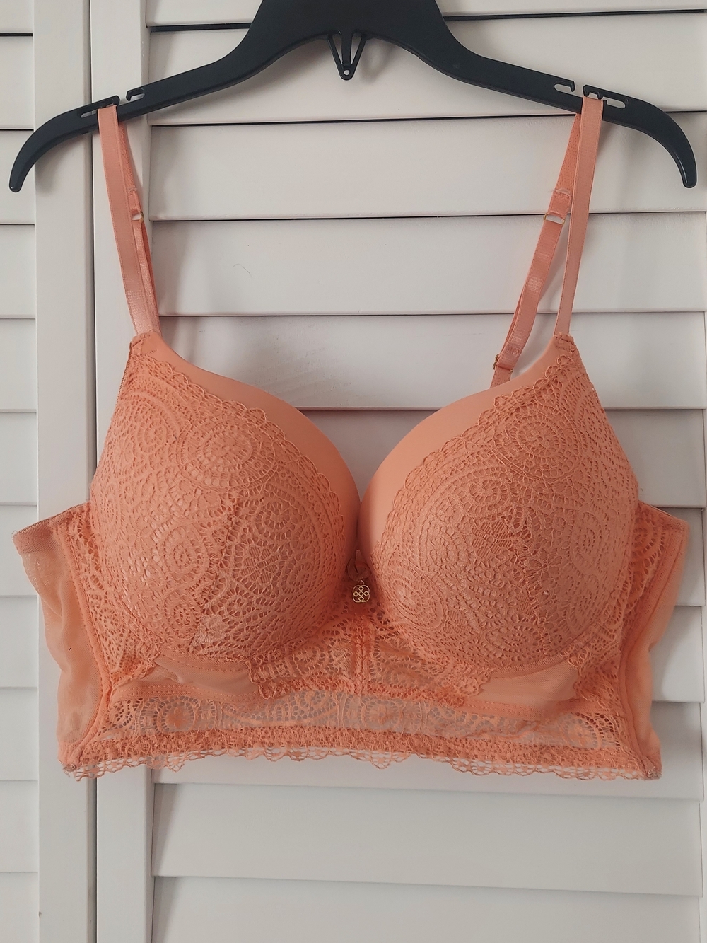 Daisy Fuentes Peach Lace Longline Push-Up Bra